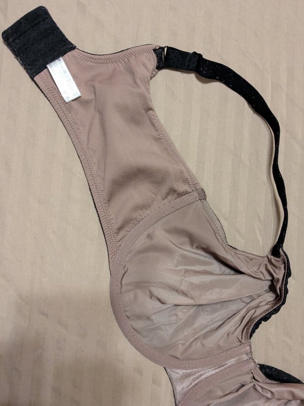 Wacoal Back Appeal Seamless Underwire Bra 855303 36G - Picture 9 of 10